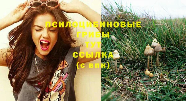 герыч Нягань