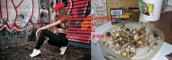 герыч Нягань