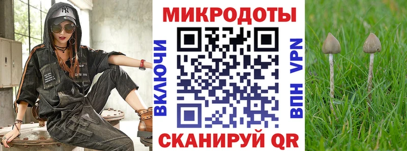 Галлюциногенные грибы GOLDEN TEACHER Тайга