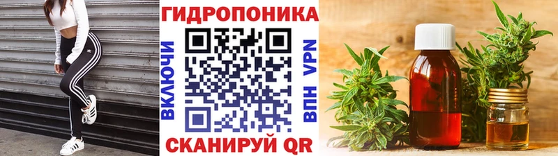Конопля OG Kush  купить закладку  Тайга 